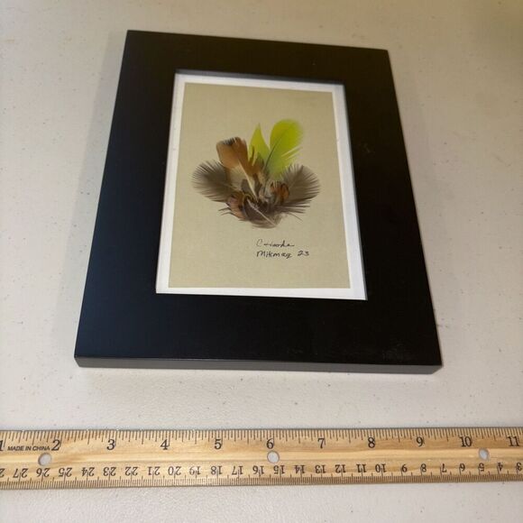 Signed C Hooke Mikmaq Feather Art Native Mi’kmaq Nova Scotia Canada Framed - Picture 1 of 5